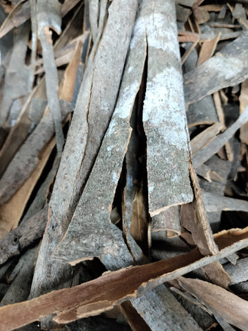CINNAMON STICKS