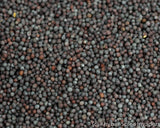 MUSTARD SEED SMALL