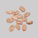 PINTO BEANS
