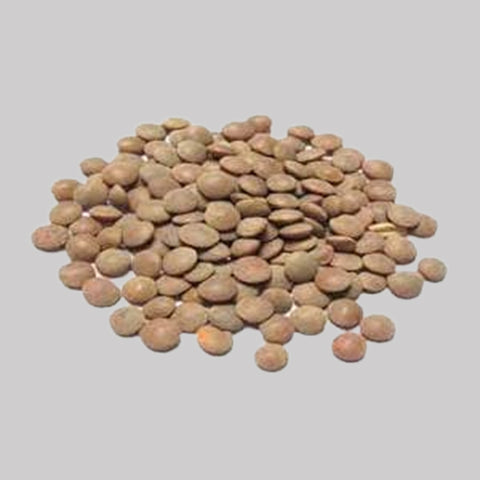 WHOLE  BROWN LENTIL- MASOOR